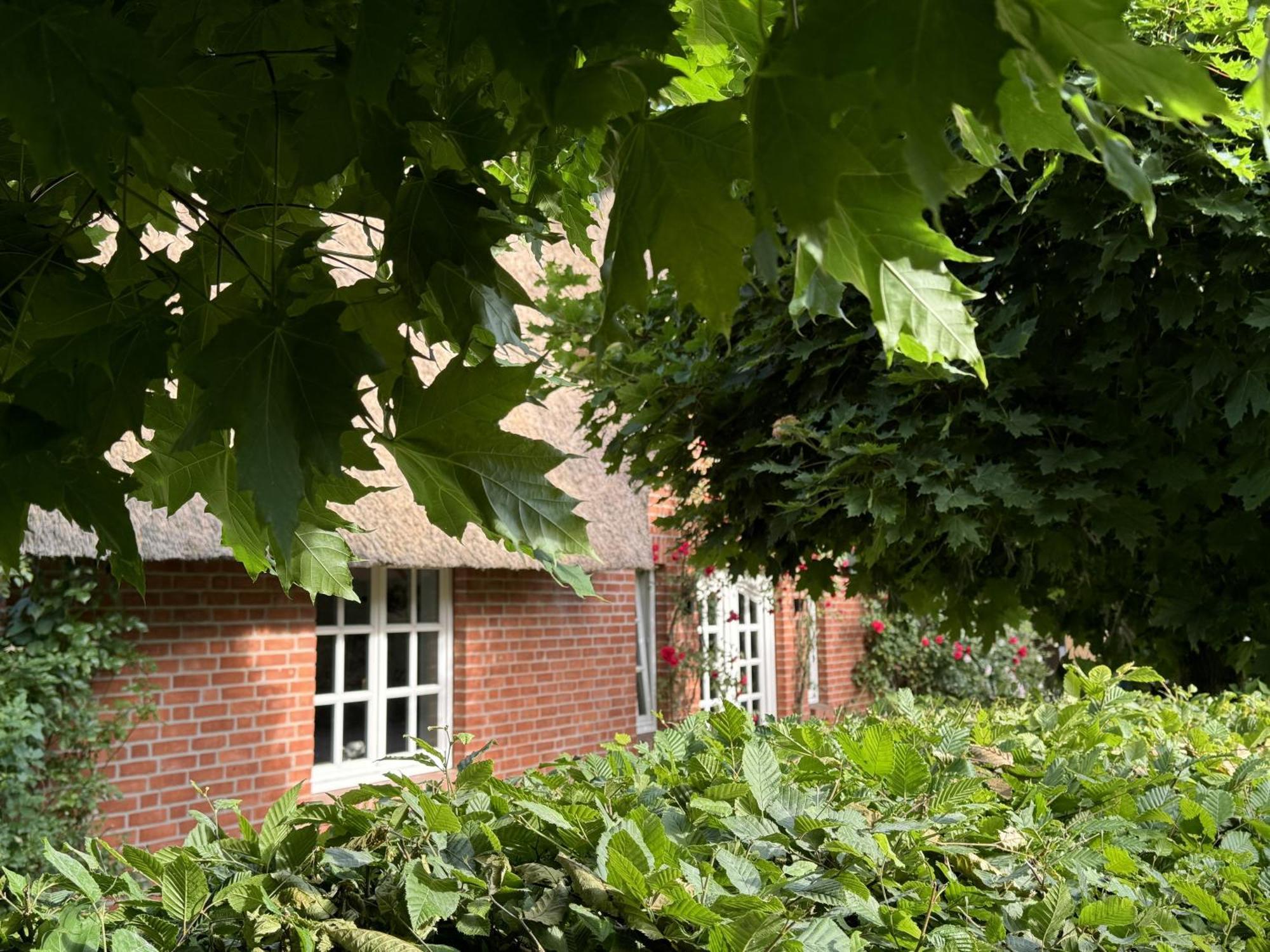 Gestuet Kriseby Lübeck